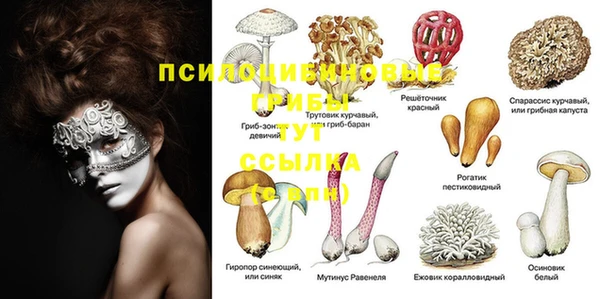 mdpv Заволжье