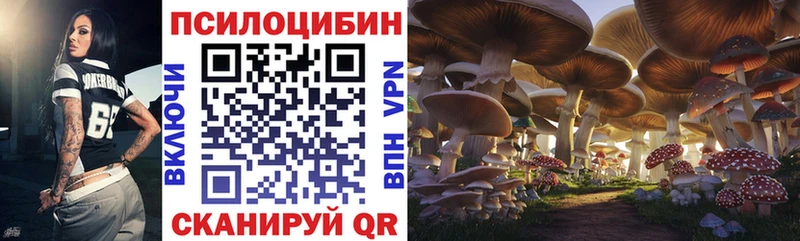 Псилоцибиновые грибы мицелий  Купить где  Донецк 